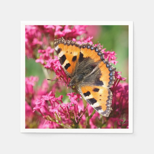 Servilleta De Papel Pequeño infierno de tortuga en la mariposa valeria (Anverso)