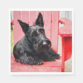 Servilleta De Papel Pequeño Scottie en una Gran Silla Roja