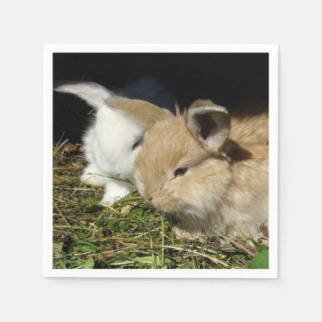 Servilleta De Papel Pequeños conejitos esponjosos (Anverso)