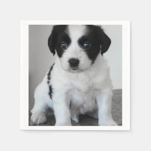 Servilleta De Papel Perrito blanco y negro adorable
