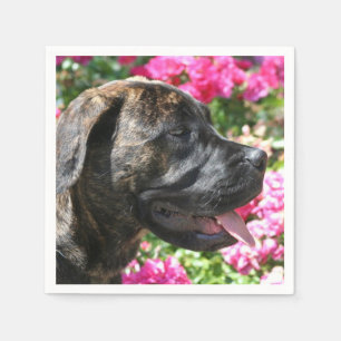 Servilleta De Papel Perrito Brindle del mastín