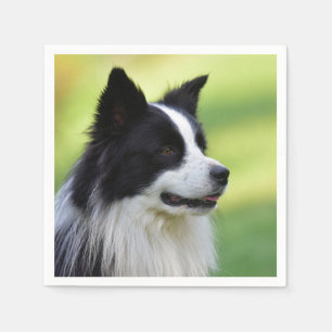 Servilleta De Papel Perro Border Collie negro y blanco