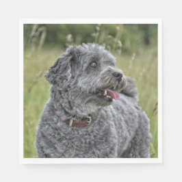 Servilleta De Papel Perro Cute Terrier