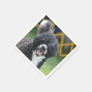 Servilleta De Papel Perro de agua portugués