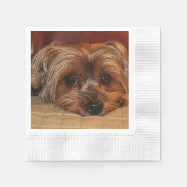 Servilleta De Papel Perro de cachorro de Cute Yorkshire Terrier (Anverso)