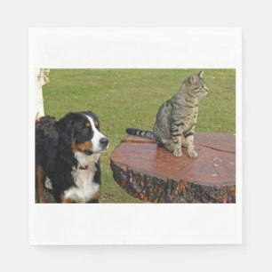 Servilleta De Papel perro de montaña bernés con gato