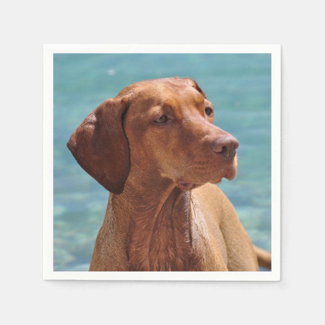 Servilleta De Papel Perro Magyar Vizsla (Anverso)