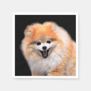 Servilleta De Papel Perro pomerano de ríe