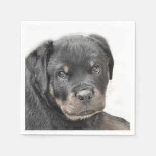 Servilleta De Papel Perro Rottweiler