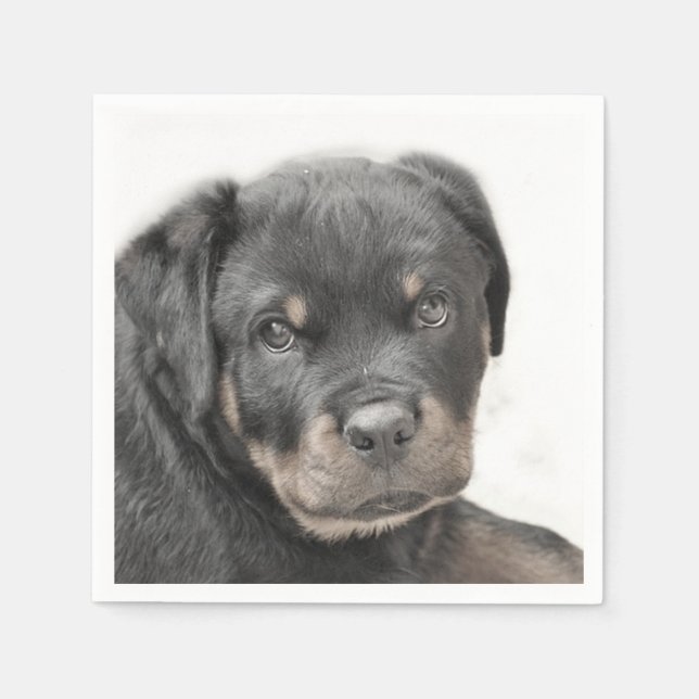 Servilleta De Papel Perro Rottweiler (Anverso)