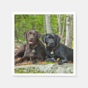 Servilleta De Papel Perros cachorros Black Lab Chocolate Labrador Recu