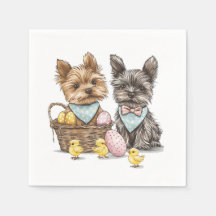 Perros Terrier de Easter Yorkshire