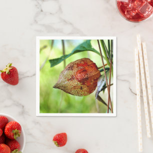 Servilleta De Papel Physalis alkekengi Papeles Napkins