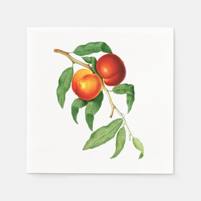 Servilleta De Papel Picos de época (Anverso)