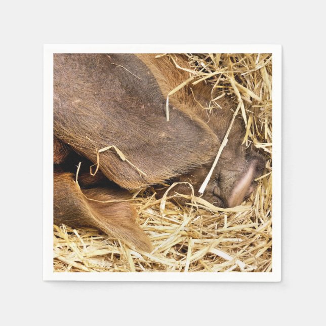 SERVILLETA DE PAPEL PIGS (Anverso)