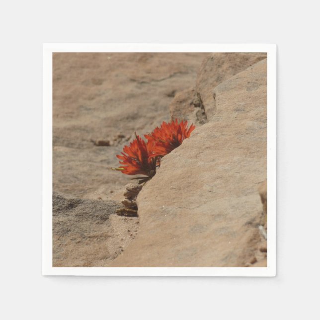 Servilleta De Papel Pincel indio en rocas en Zion (Anverso)