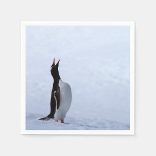Servilleta De Papel Pingüino de Gentoo