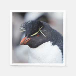 Servilleta De Papel Pingüino de Rockhopper del Sur