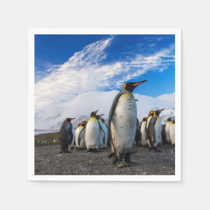 Servilleta De Papel Pingüinos marchando por el cielo azul