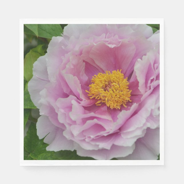 Servilleta De Papel Pink Peony (Anverso)