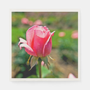 Servilleta De Papel Pink Rose Garden