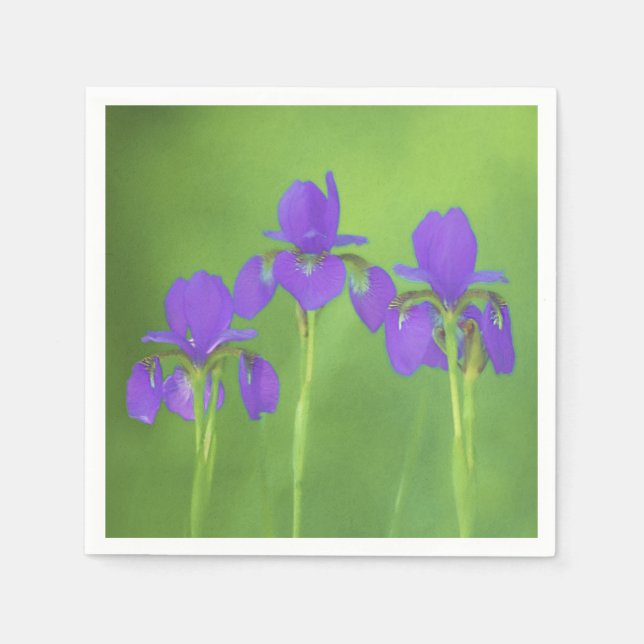 Servilleta De Papel Pintura de iris morado - Arte de flores original (Anverso)