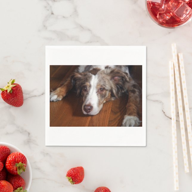 Servilleta De Papel planicie de tendido de merle rojo australiano (In situ)