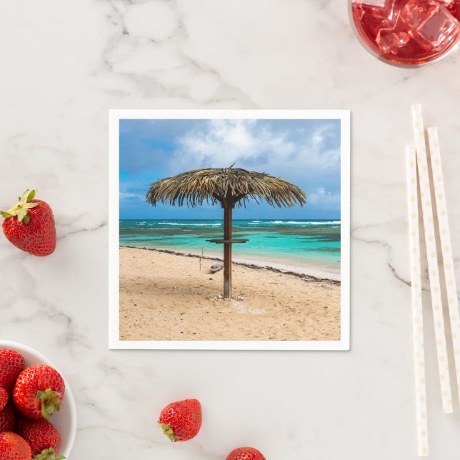 Servilleta De Papel Playa de Anse des Rochers (In situ)