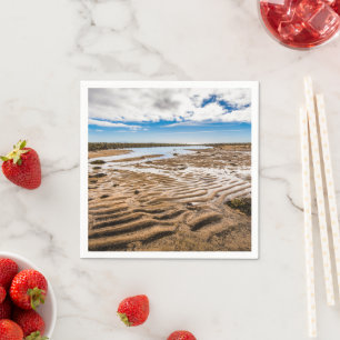 Servilleta De Papel Playa de Budir, Islandia