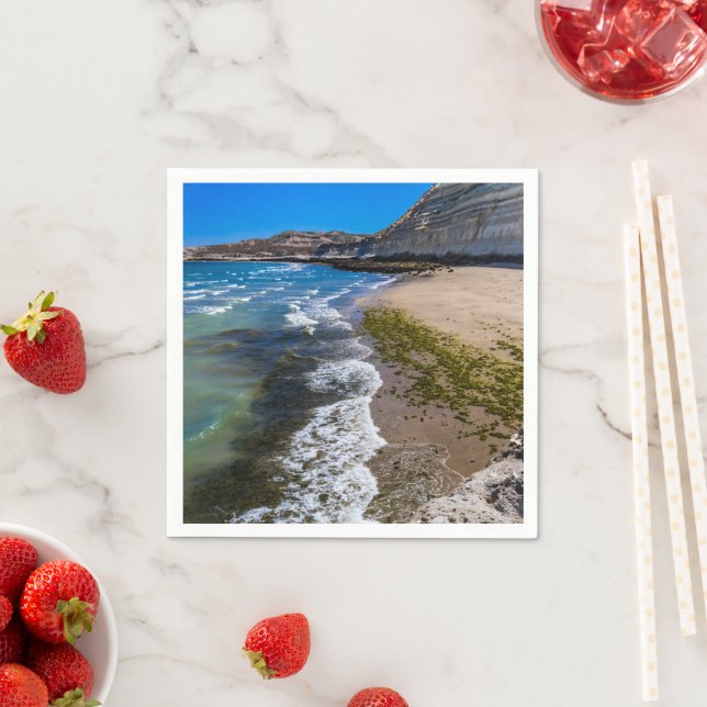 Servilleta De Papel Playa de Puerto Piramides, Argentina (In situ)