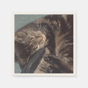 Servilleta De Papel Playas de papel de cóctel Dave