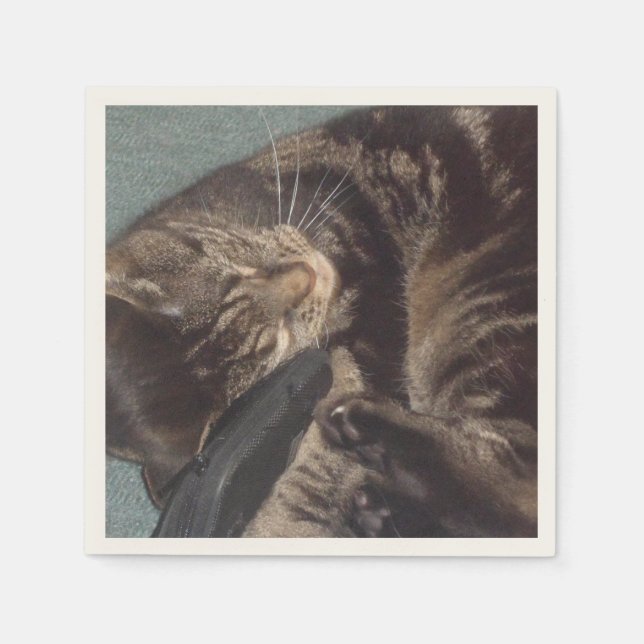 Servilleta De Papel Playas de papel de cóctel Dave (Anverso)