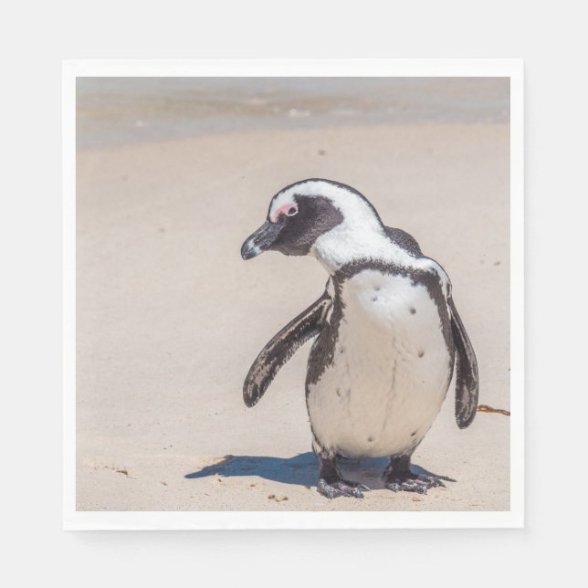 Servilleta De Papel Playas de pingüino (Anverso)
