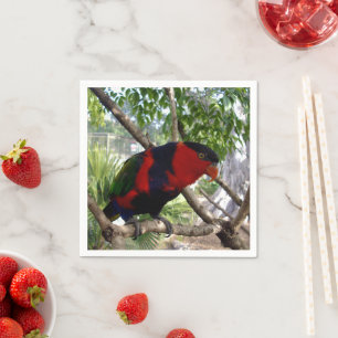 Servilleta De Papel Plumas arcoiris: Bonito Australian Lorikeet,
