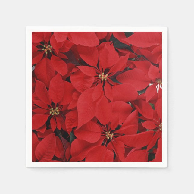 Servilleta De Papel Poinsettias para Navidades (Anverso)