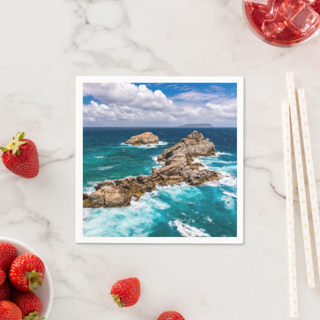 Servilleta De Papel Pointe des Chateaux, Grande-Terre, Guadalupe #2 (In situ)