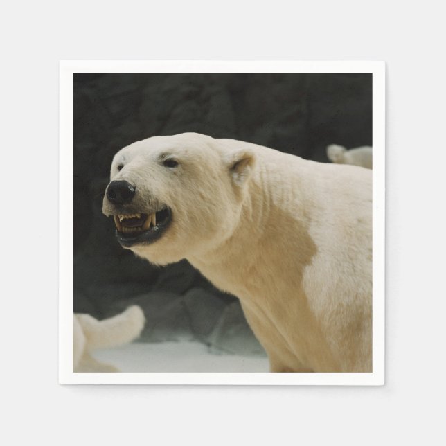 Servilleta De Papel Polar Bear Grin (Anverso)