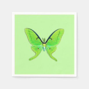 Servilleta De Papel Polilla Luna sobre un fondo verde pálido