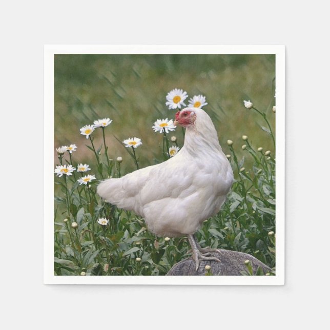 Servilleta De Papel Pollo Con Daises (Anverso)