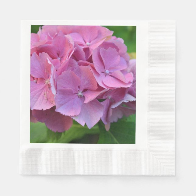 Servilleta De Papel Pompom Rosa Hidrangea Hortensia Flor (Anverso)