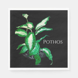 Servilleta De Papel Posavasos de piedra para planta de Pothos