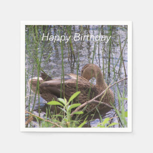 Servilleta De Papel Predicación del pato en los carrizos