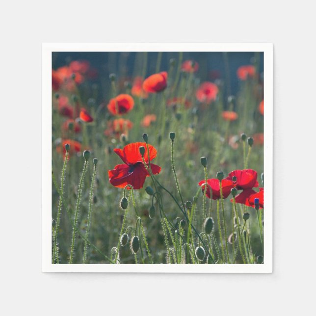 Servilleta De Papel Pretty Poppies in Wild Meadow Photo (Anverso)