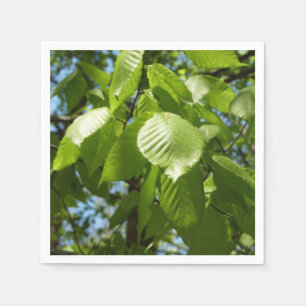 Servilleta De Papel Primavera Birch deja el árbol verde