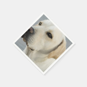 Servilleta De Papel Producto personalizar