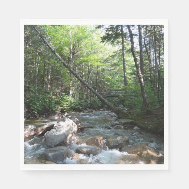 Servilleta De Papel Puente del río Pemigewasset en Nuevo Hampshire (Anverso)