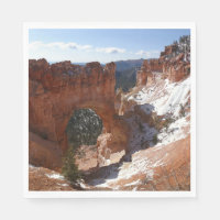 Puente natural del cañón de Bryce Foto paisajista 