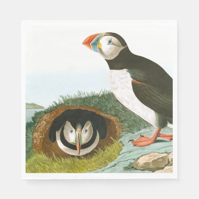 Servilleta De Papel Puffin de John James Audubon (Anverso)