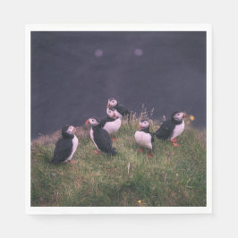 Servilleta De Papel Puffins atlánticos