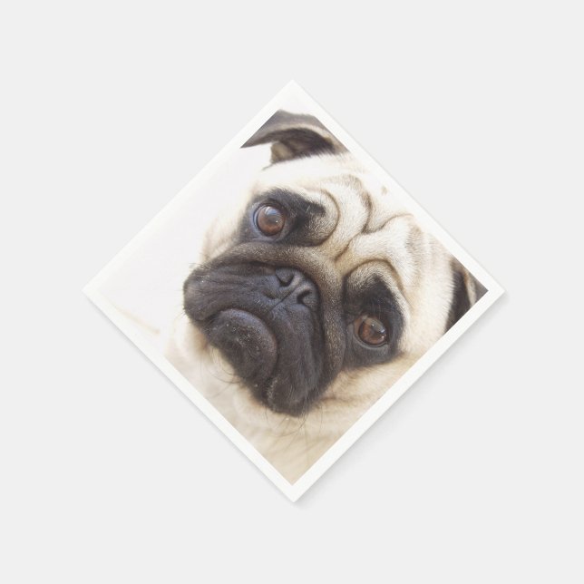 Servilleta De Papel pug-7 (Borde)